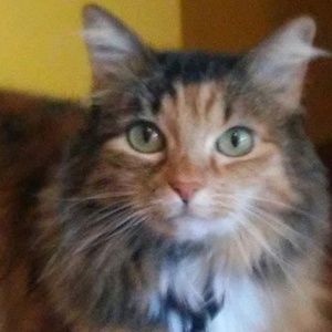 Meet your Posher, Abby